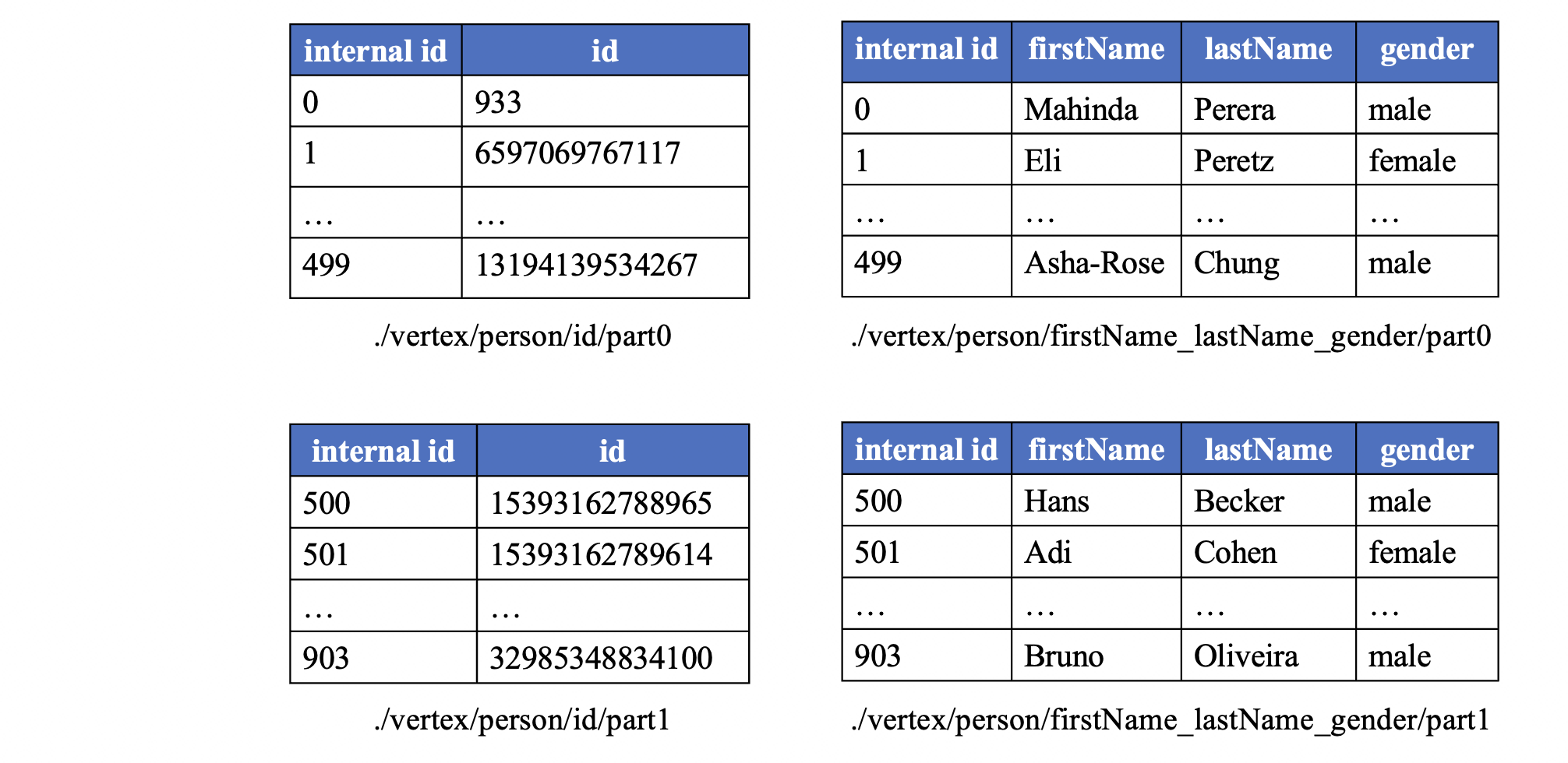 Apache GraphAr Vertex Storage Model
